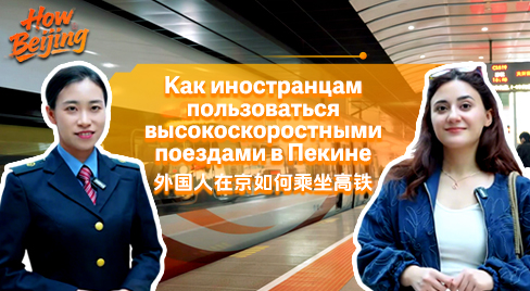 Official high-speed train guide visual for foreign passengers